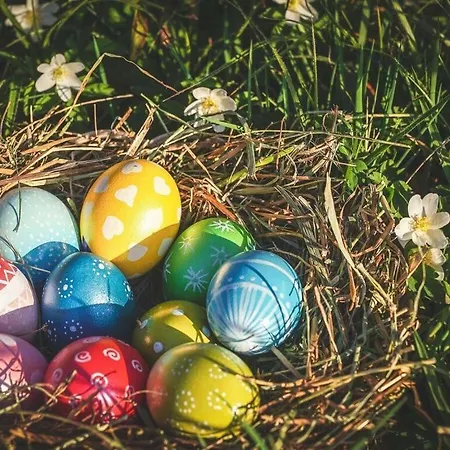 Idylle In Het Zwarte Woud بيت للعطل