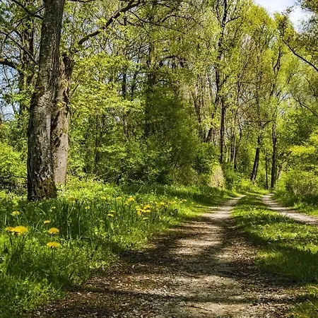 بيت للعطل Idylle In Het Zwarte Woud *